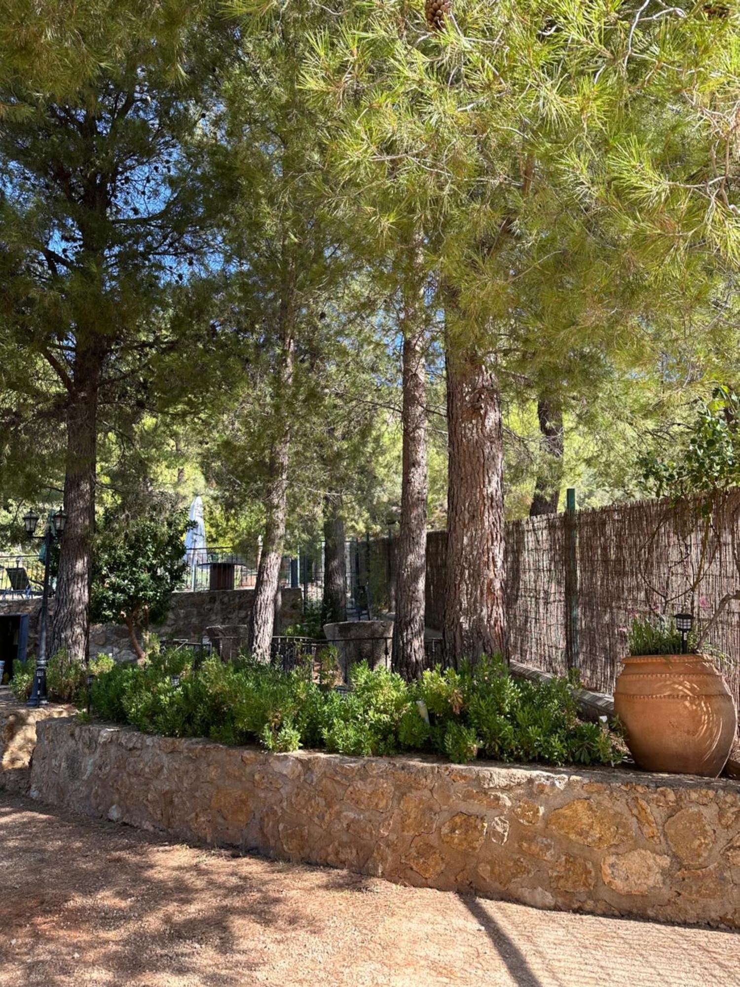 Casas Rurales Cerro Lobo Yeste Exteriér fotografie