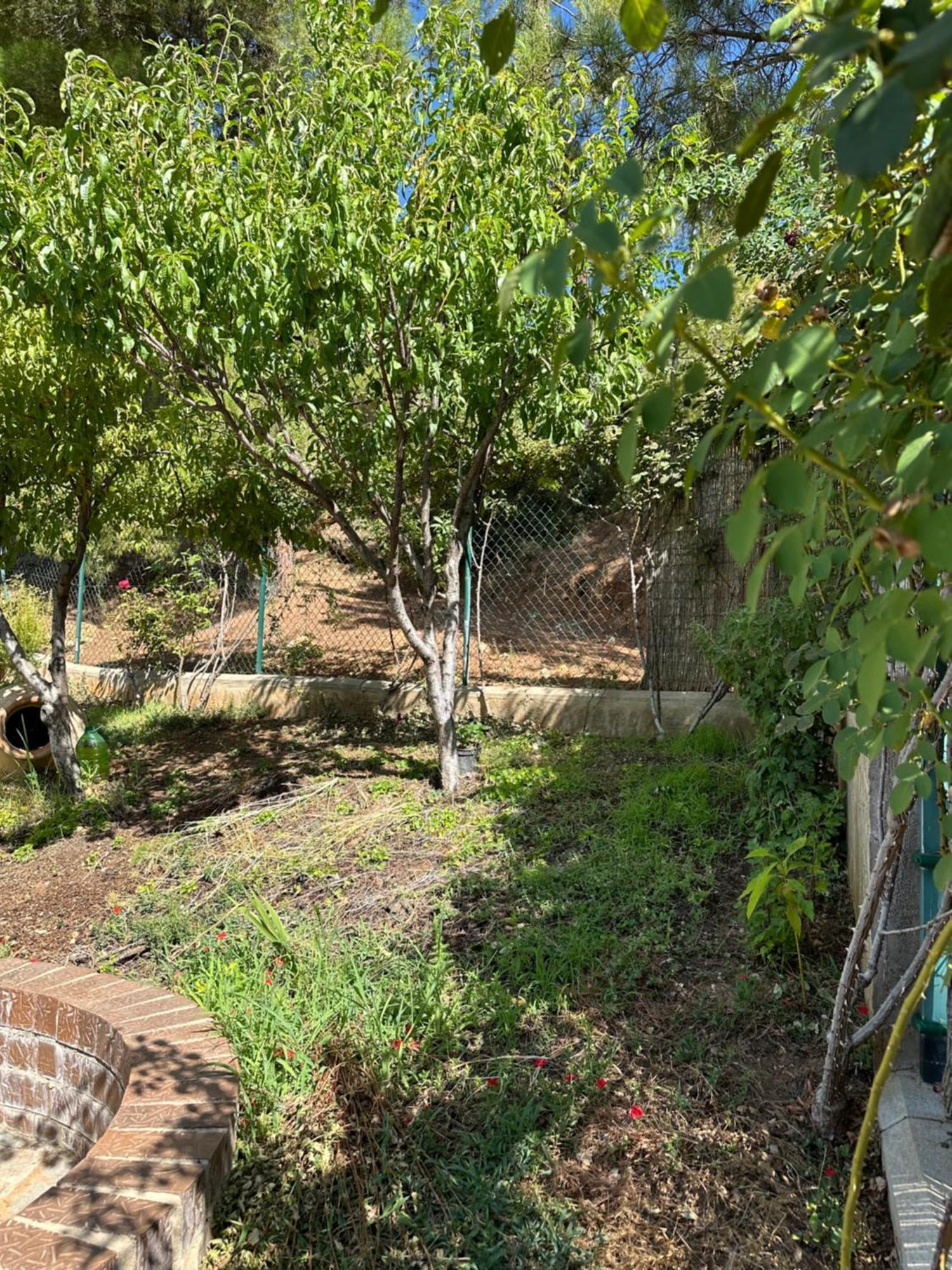 Casas Rurales Cerro Lobo Yeste Exteriér fotografie
