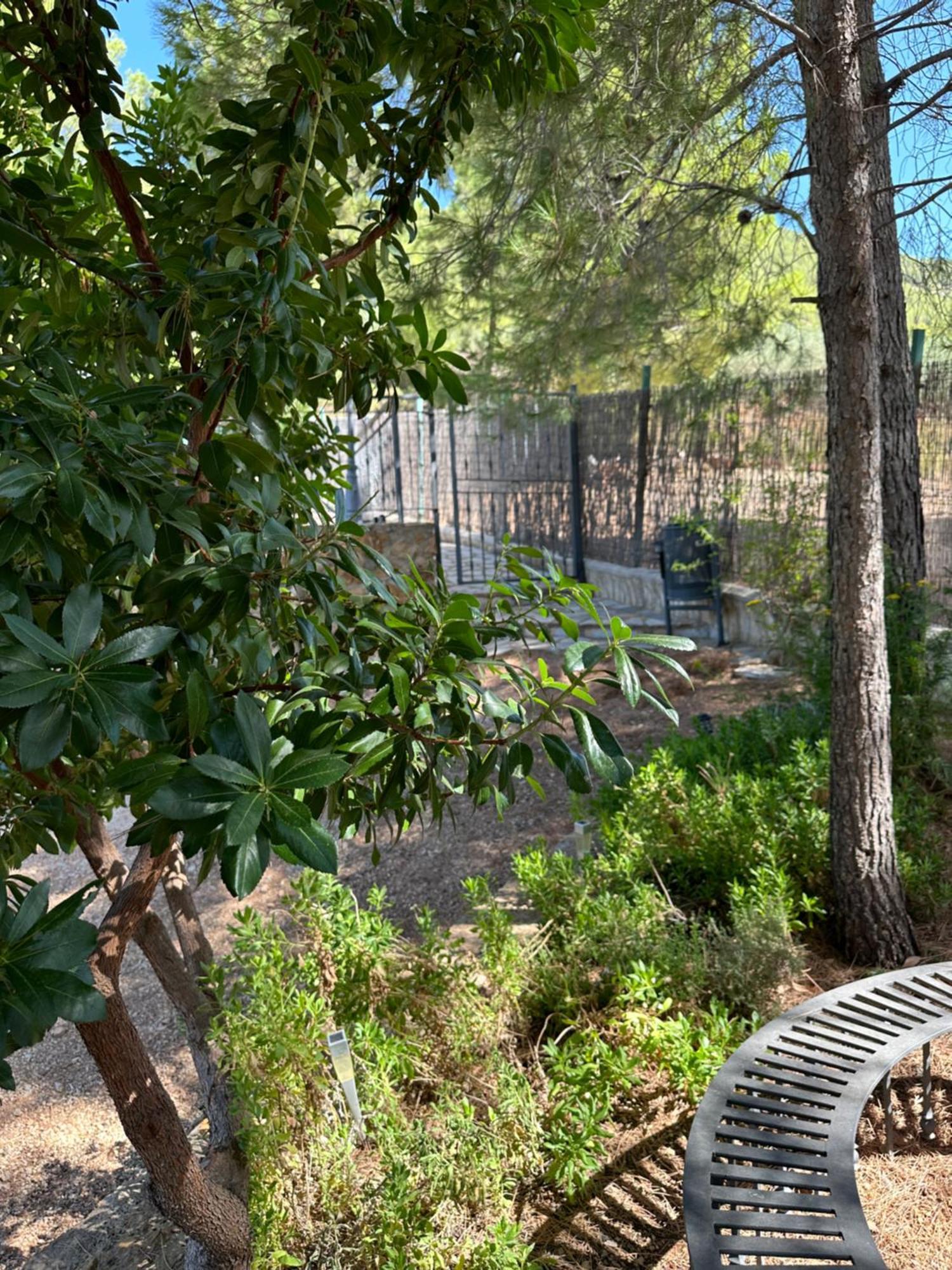 Casas Rurales Cerro Lobo Yeste Exteriér fotografie