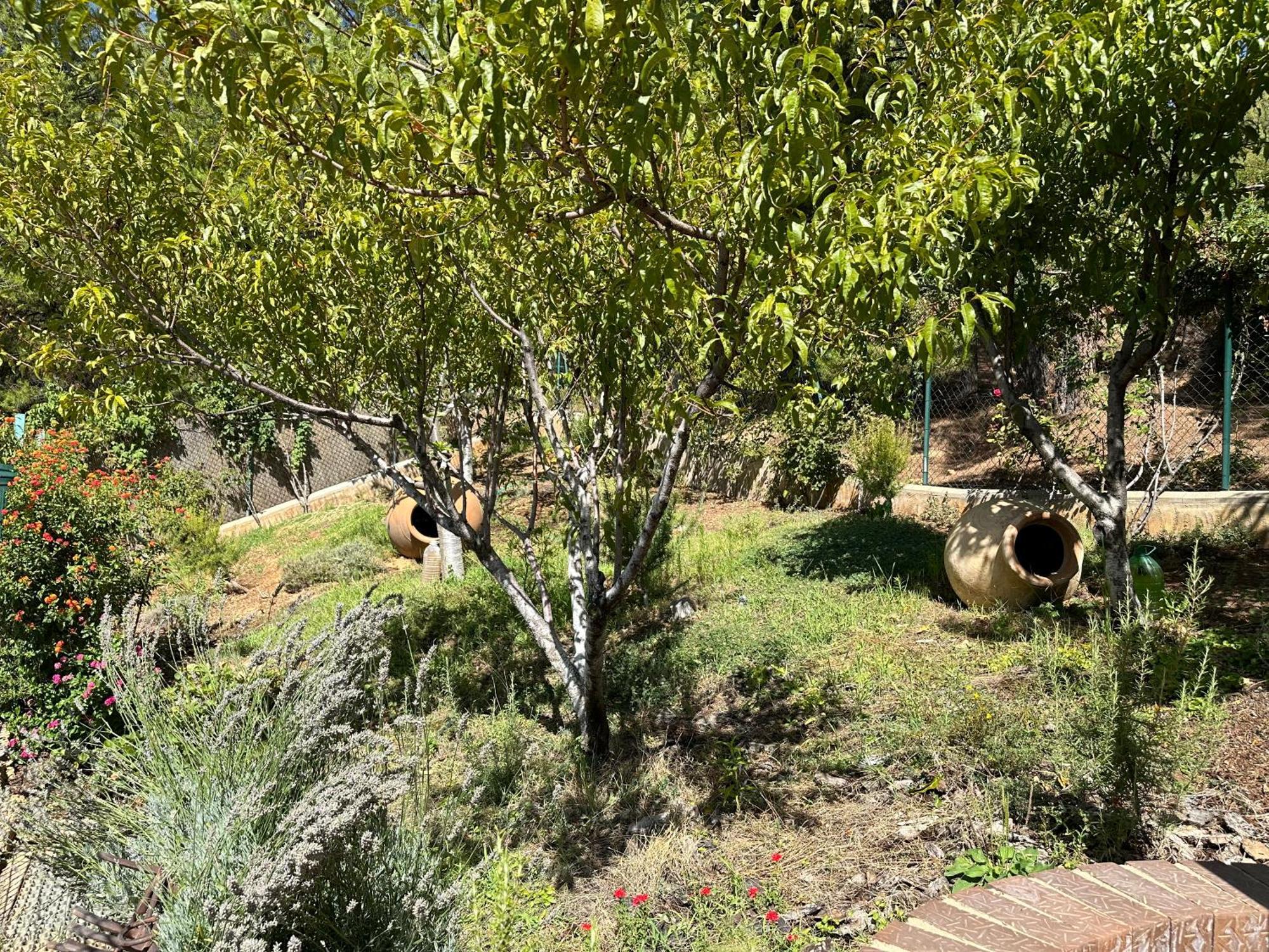 Casas Rurales Cerro Lobo Yeste Exteriér fotografie