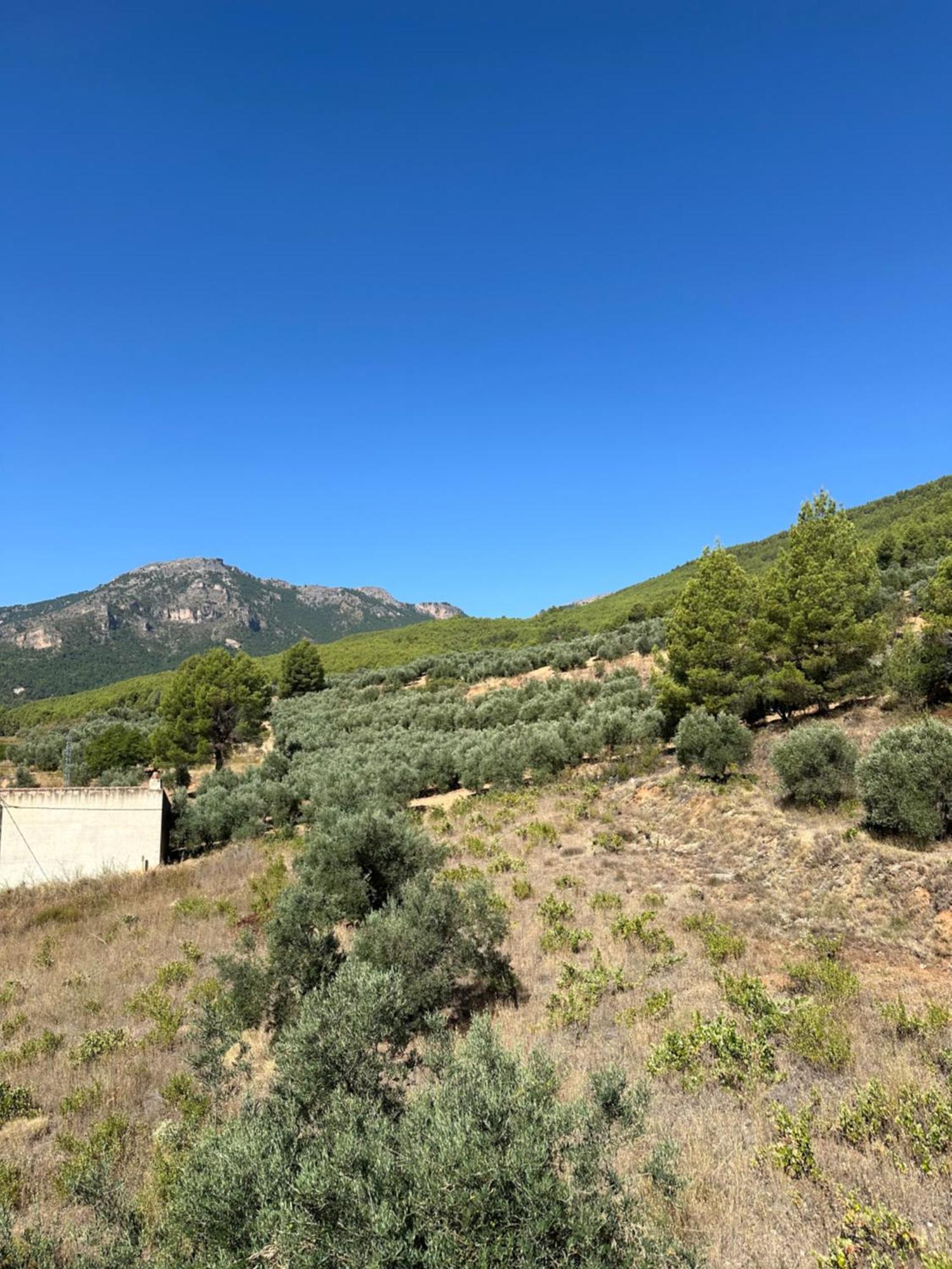 Casas Rurales Cerro Lobo Yeste Exteriér fotografie