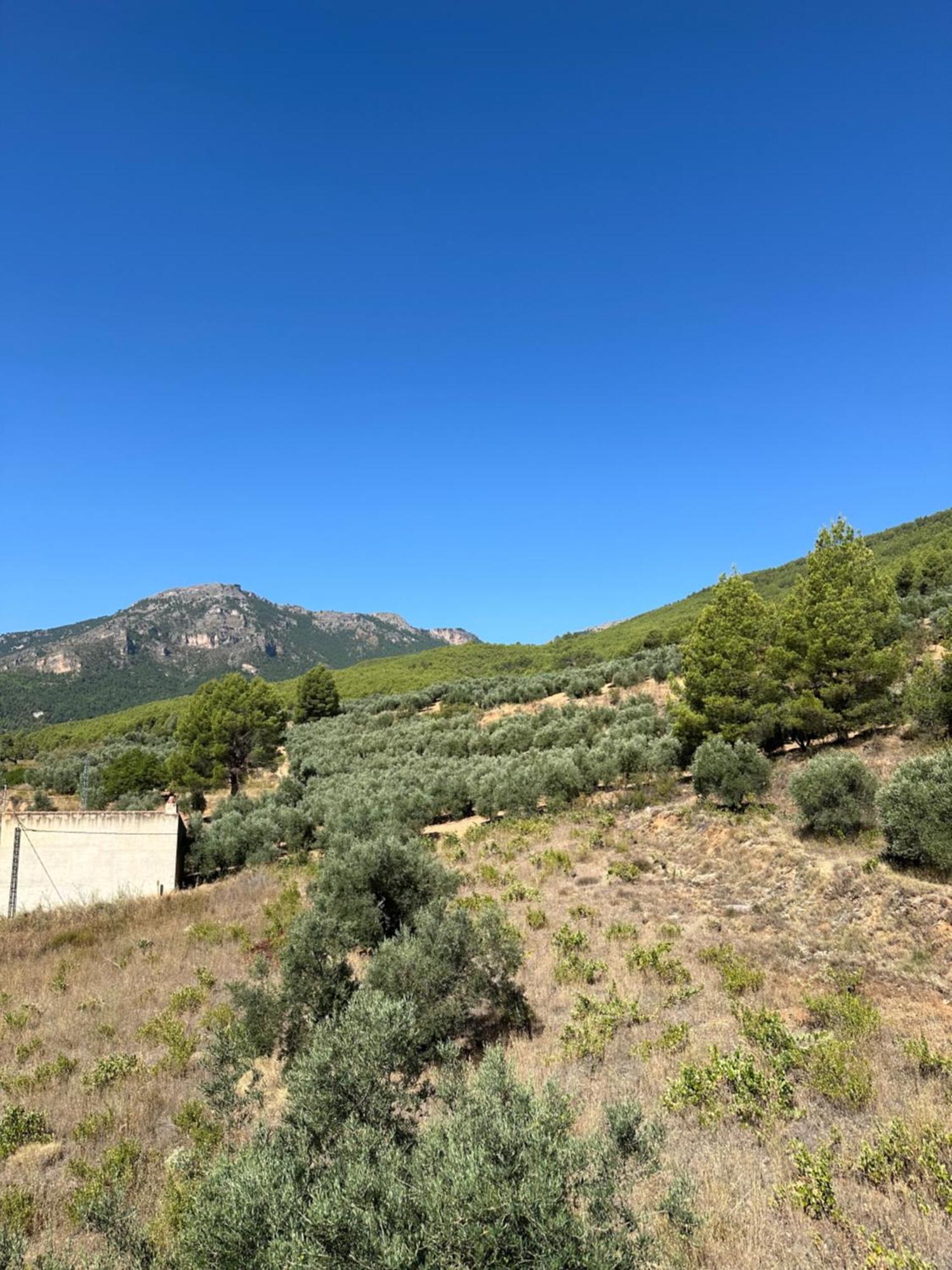 Casas Rurales Cerro Lobo Yeste Exteriér fotografie